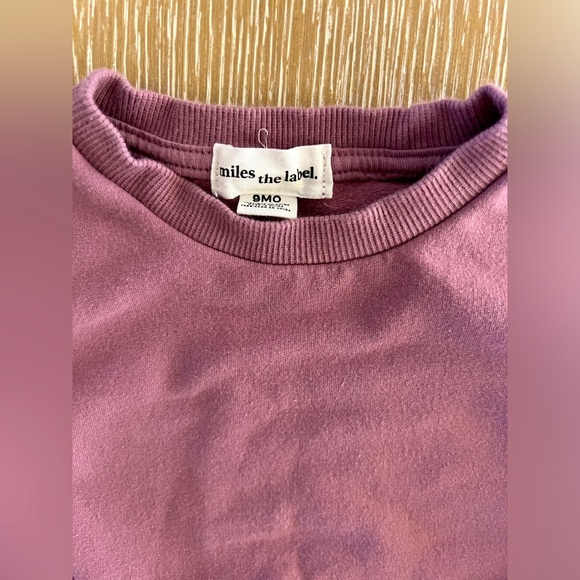 Nordstrom’s Miles The Label French Terry Sweatshirt & Jogger Set 9 Months - Picture 3 of 3